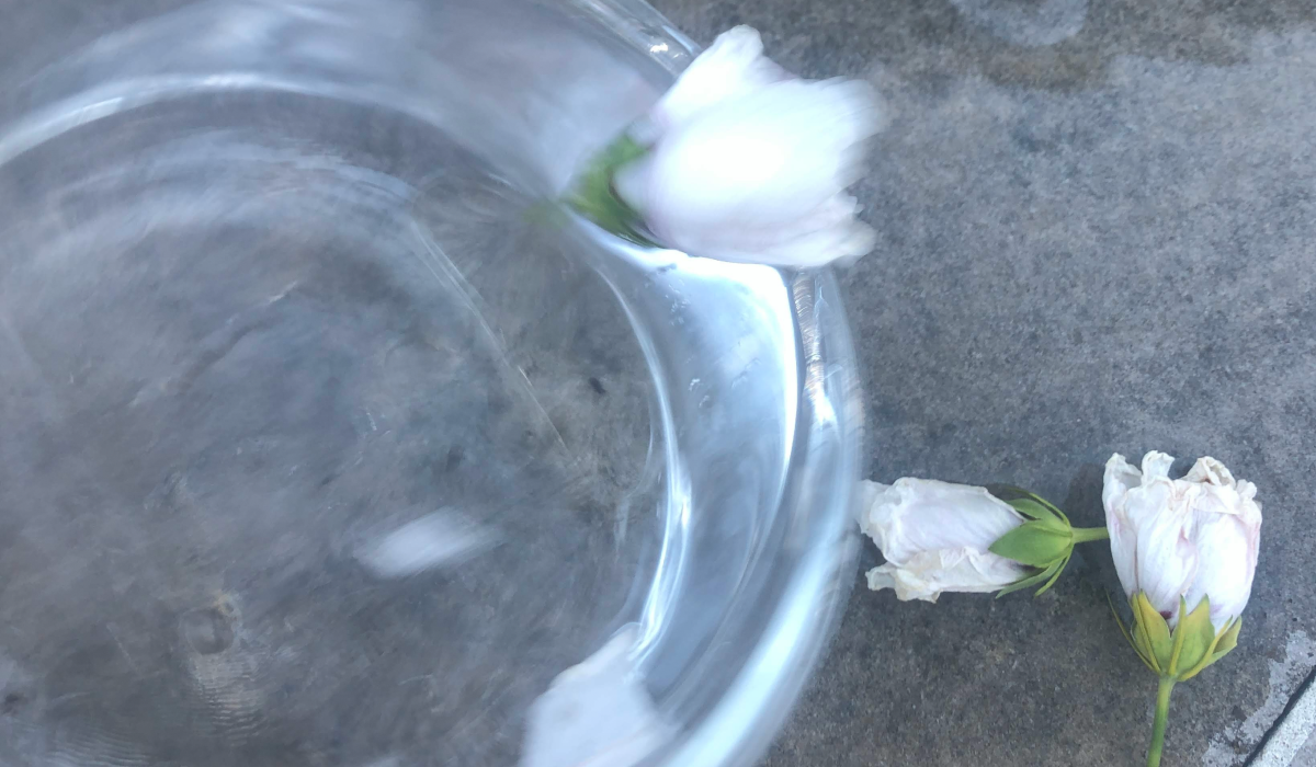 flowers being poured out a glass bowl full of whater