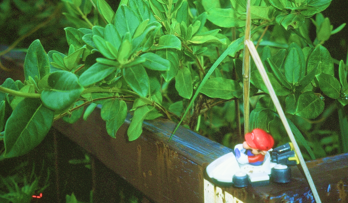 mario cart toy on a ledge and in a bush